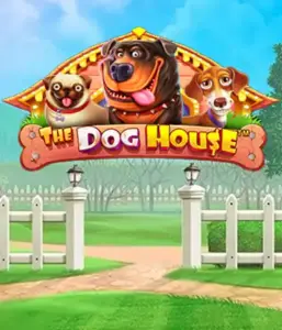 Pragmatic Play's The Dog House Slot, featuring a fun-filled experience into the world of lovable dogs. Enjoy features such as multipliers, perfect for delivering exciting wins. A must-try for animal enthusiasts a cheerful theme with a chance for big wins.