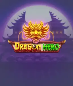 Enter a fantastic quest with the Dragon Hero game by Pragmatic Play, featuring stunning graphics of powerful dragons and epic encounters. Venture into a world where magic meets thrill, with symbols like enchanted weapons, mystical creatures, and treasures for a captivating slot experience.