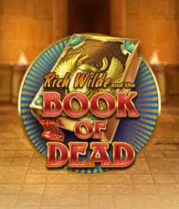 Dive into the thrilling world of Book of Dead Slot by Play'n GO, showcasing vivid graphics of Rich Wilde’s adventurous journey through ancient Egyptian tombs and artifacts. Find lost riches with exciting mechanics like free spins, expanding icons, and a gamble option. Ideal for those seeking adventure with a desire for thrilling discoveries.